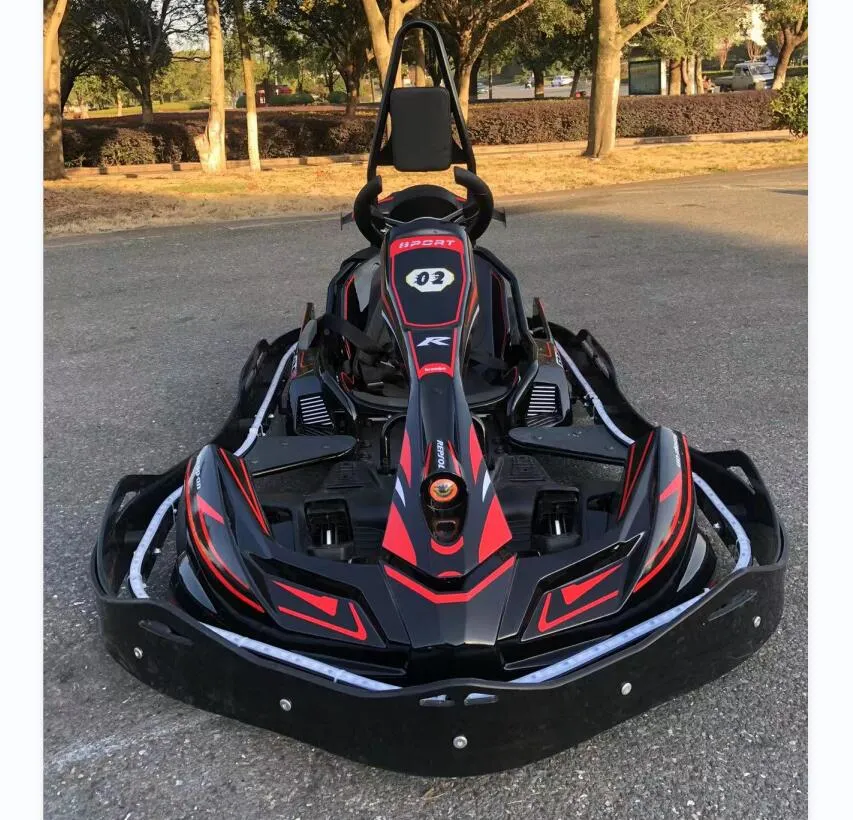 Max 60km/H Big Battery Electric Power Racing Go Karting Cars 800W Kart Racing for Kids Adult for Sale